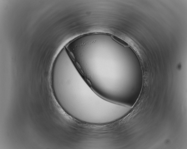 X0000095931140200801110912