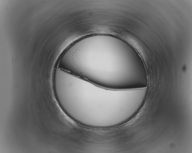 X0000095931141200801110912