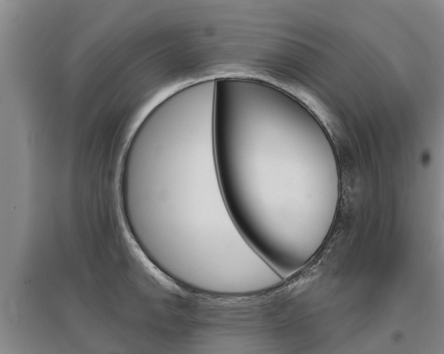 X0000095931142200801110912