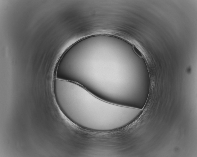 X0000095931143200801110912