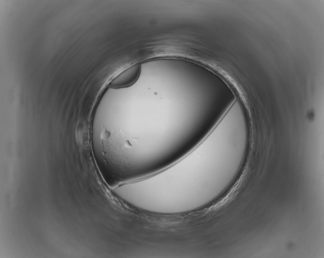 X0000095931145200801110912