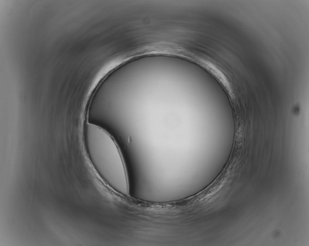 X0000095931146200801110912