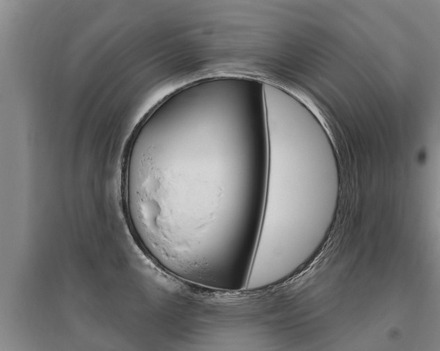 X0000095931147200801110912
