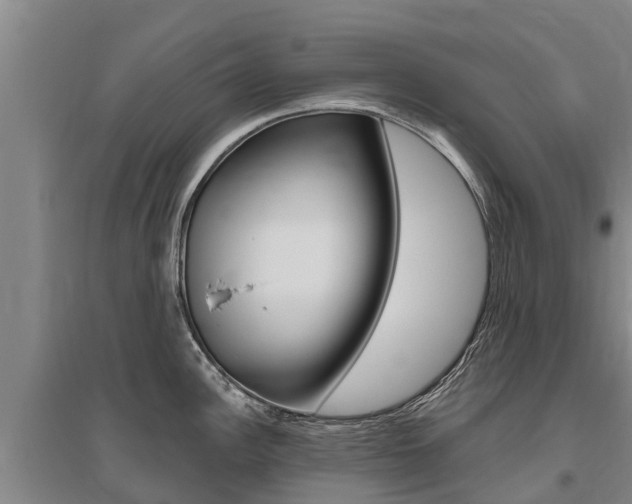 X0000095931148200801110912