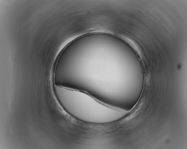 X0000095931149200801110912