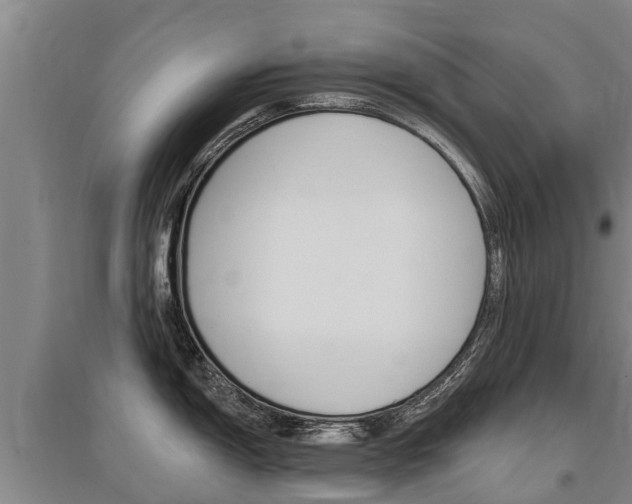 X0000095931150200801110912