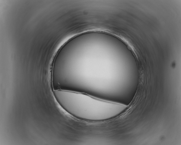 X0000095931151200801110912