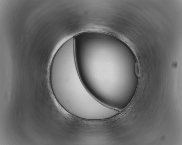 X0000095931152200801110912