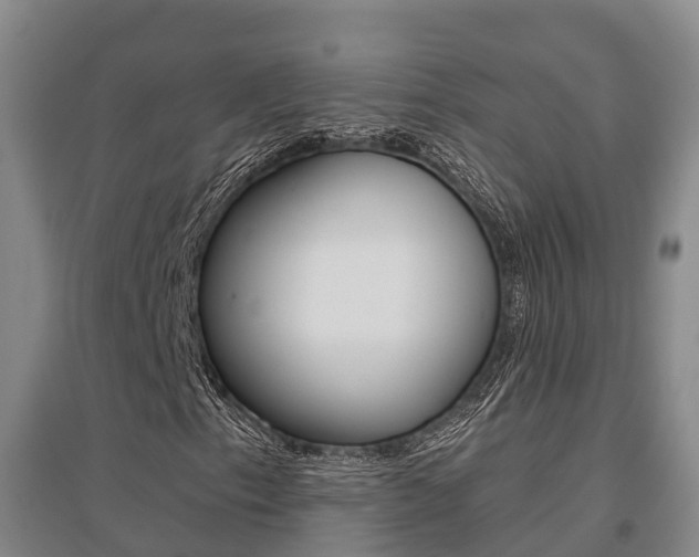X0000095931153200801110911