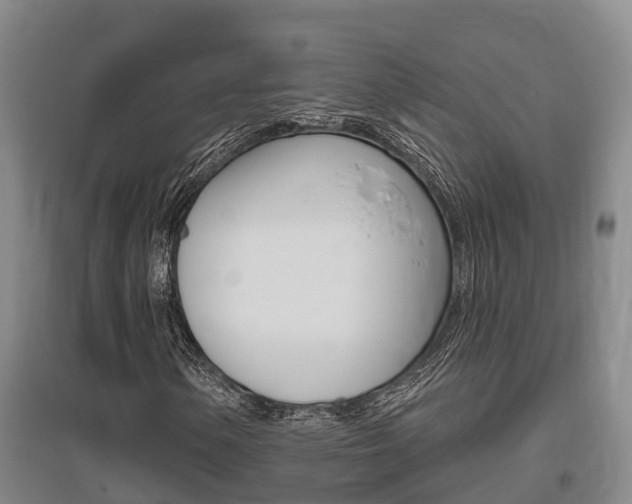 X0000095931154200801110911