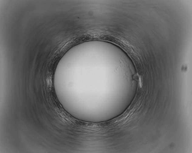X0000095931155200801110911