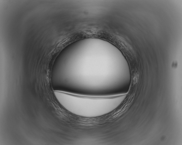 X0000095931156200801110911