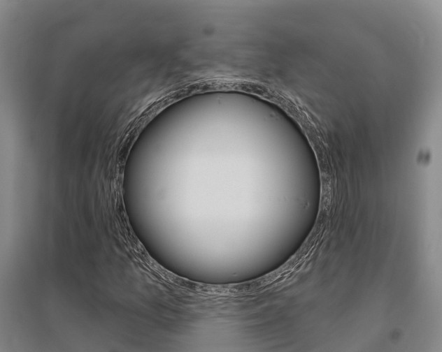 X0000095931157200801110911