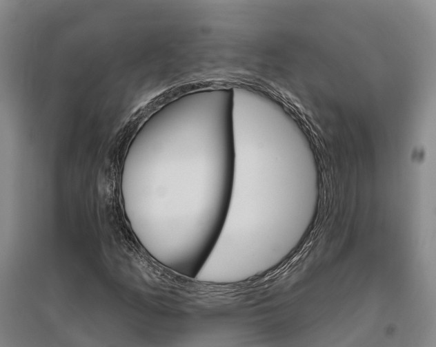 X0000095931158200801110911
