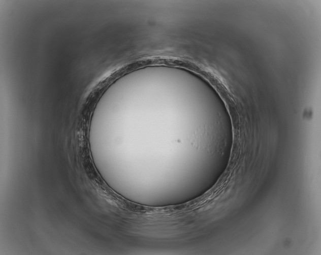 X0000095931159200801110911