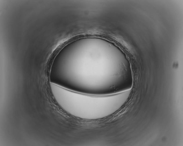 X0000095931160200801110911