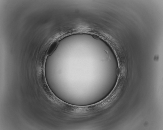 X0000095931161200801110911