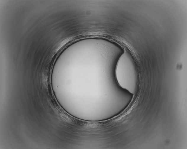 X0000095931162200801110911