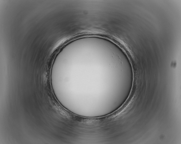 X0000095931163200801110911