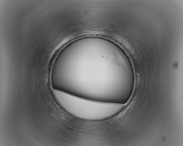 X0000095931165200801110911