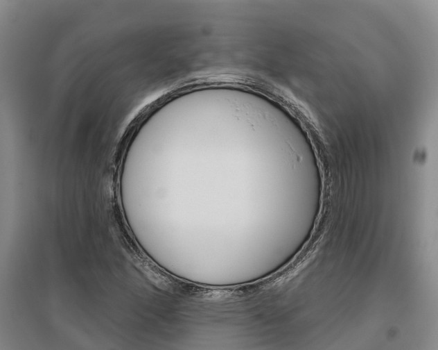 X0000095931166200801110911