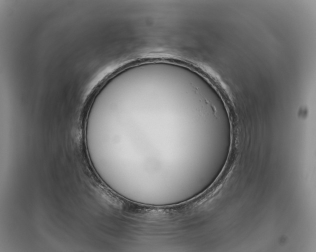 X0000095931167200801110911