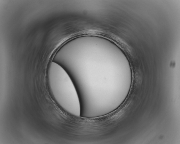 X0000095931170200801110911