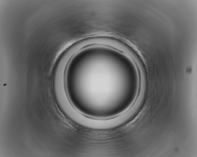 X0000095931171200801110911