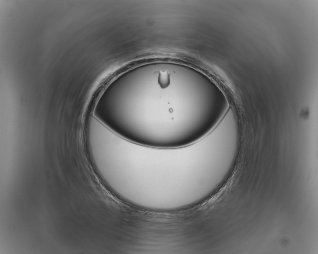 X0000095931172200801110911