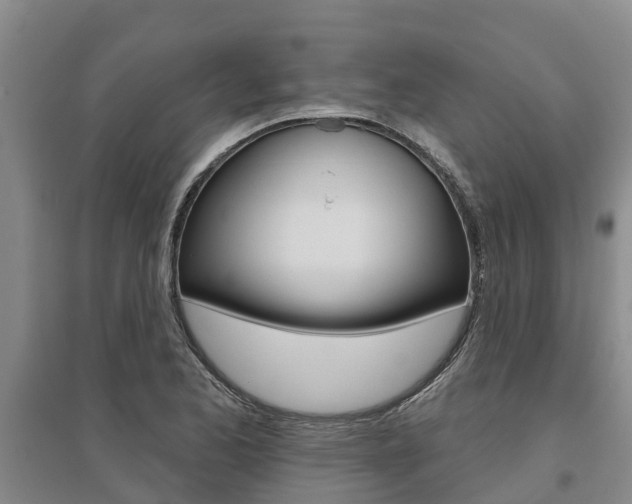 X0000095931173200801110911