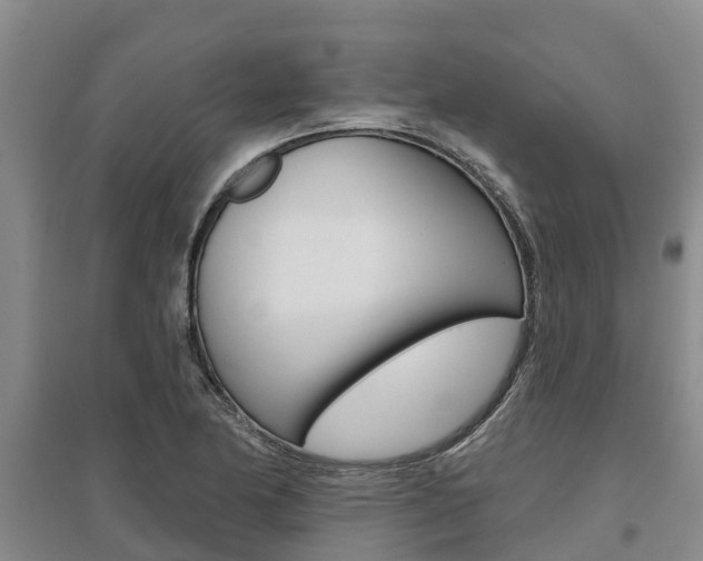 X0000095931174200801110911