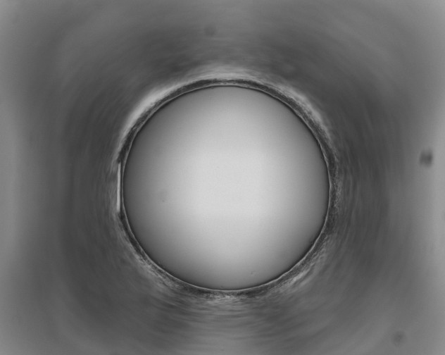 X0000095931175200801110911