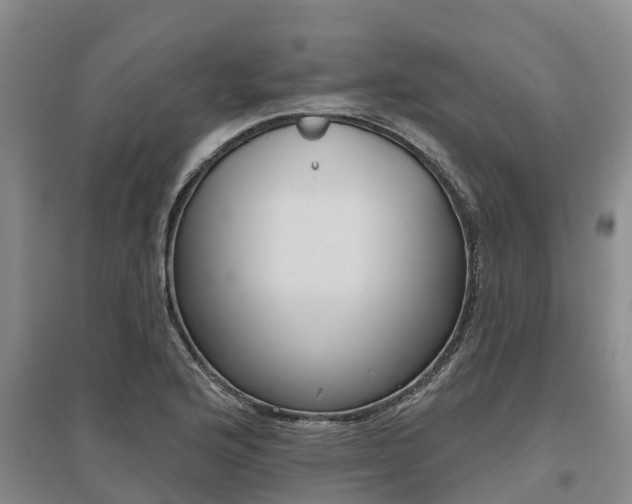 X0000095931176200801110911