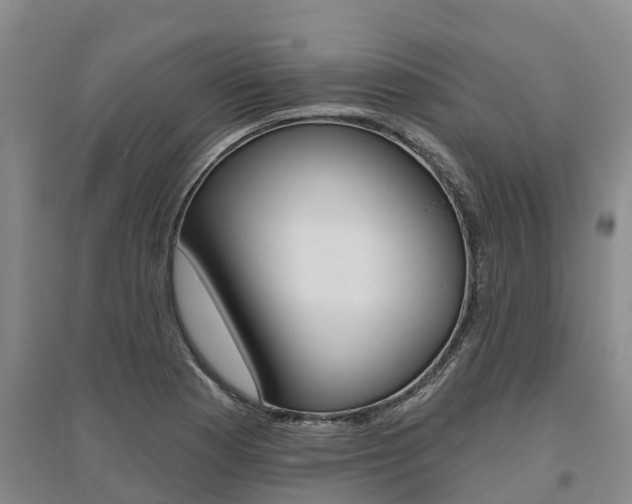 X0000095931177200801110911