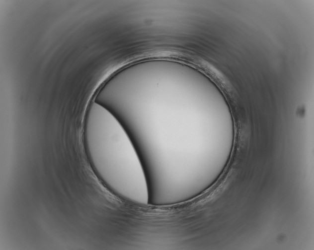 X0000095931178200801110911