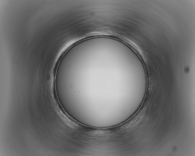 X0000095931179200801110911