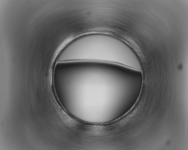 X0000095931180200801110911