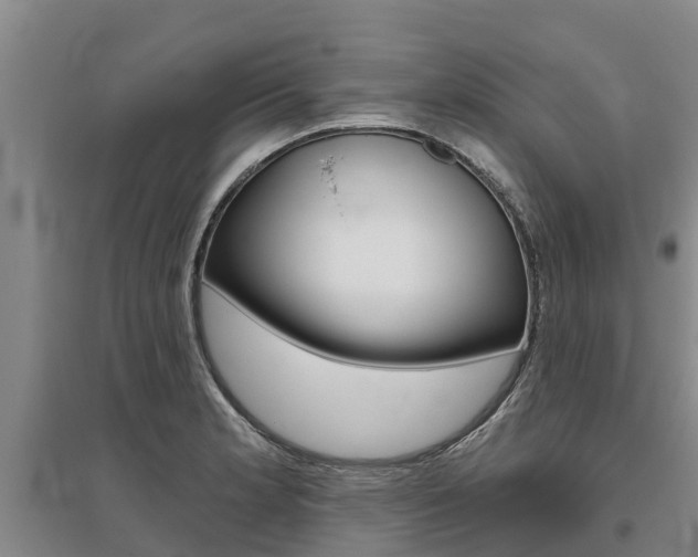X0000095931181200801110911