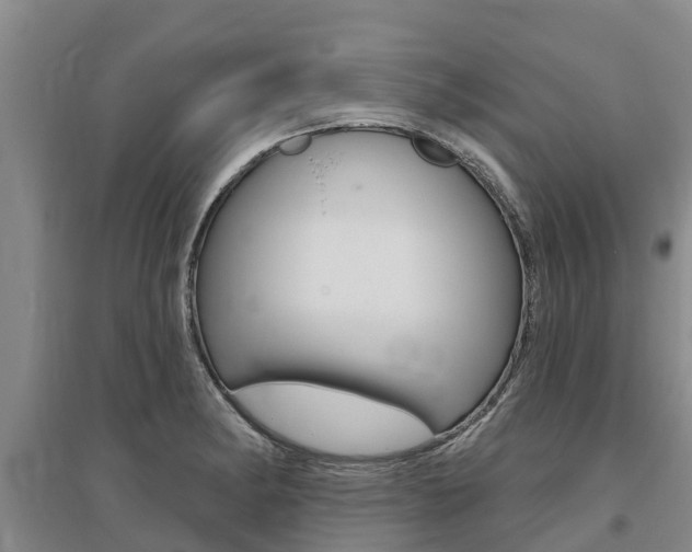X0000095931182200801110911