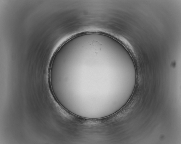 X0000095931183200801110911