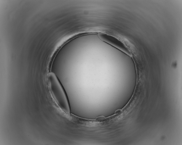 X0000095931184200801110911