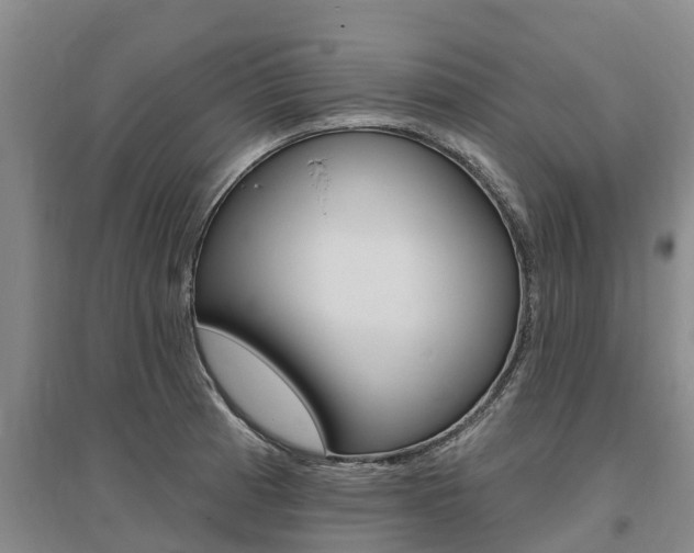 X0000095931185200801110911
