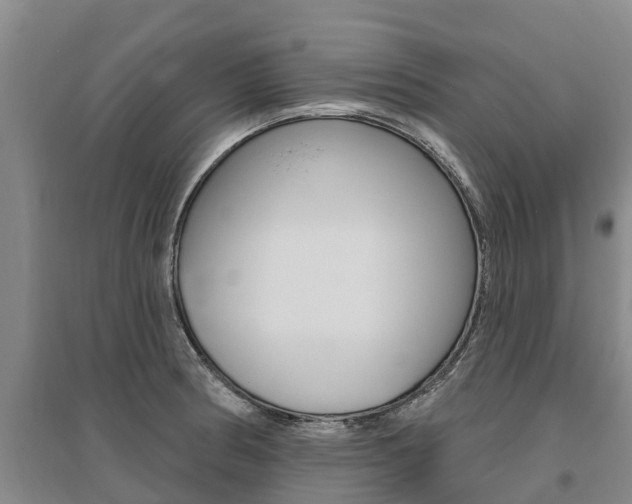 X0000095931186200801110911