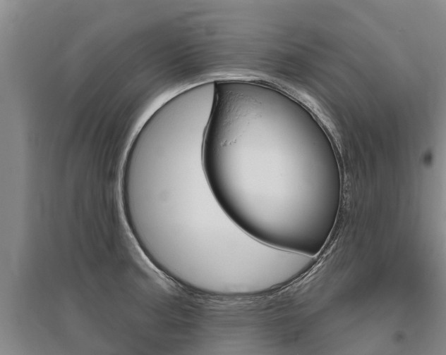 X0000095931187200801110911