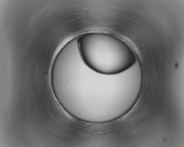 X0000095931188200801110911