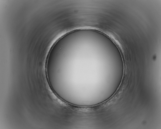 X0000095931189200801110911