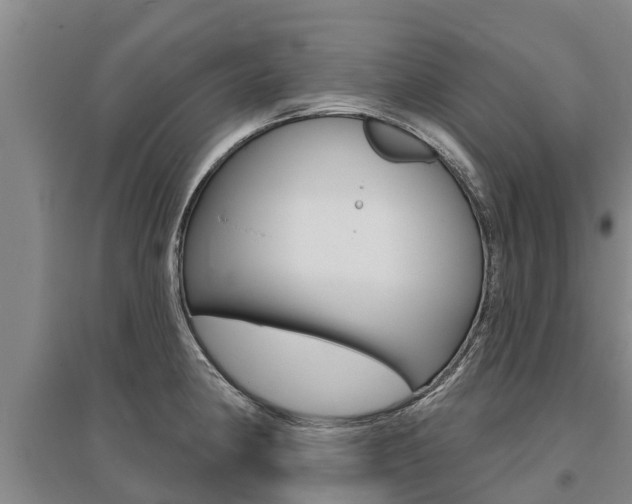 X0000095931190200801110911