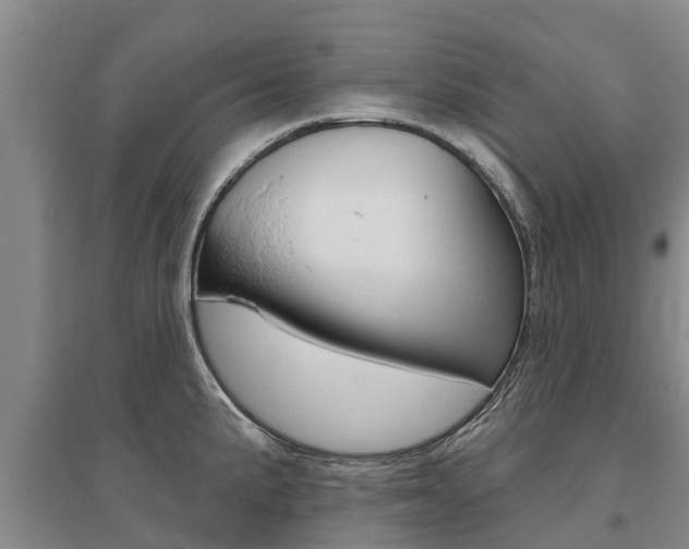 X0000095931191200801110911