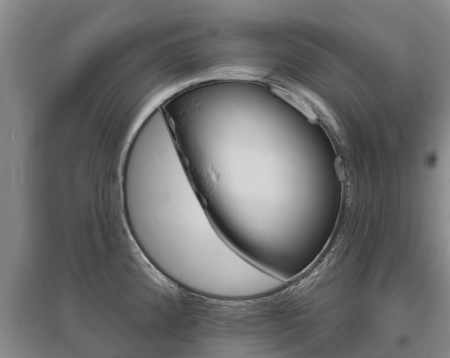 X0000095931192200801110911