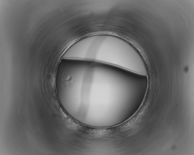 X0000095931193200801110911